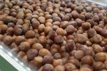 Many Hazelnuts Exposed inside a Large Container