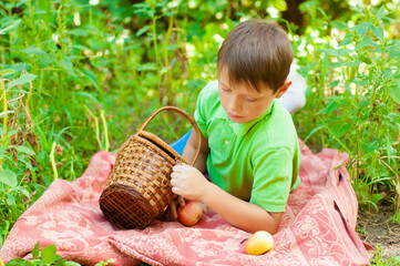A cute boy in a green t-shirt sits on a plaid with a picnic basket and apples in the autumn park. Healthy food.