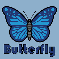 butterfly illustration