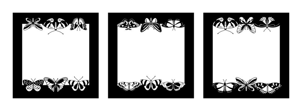 Set of square frames with butterflies for photos, invitations, congratulations