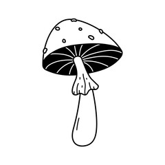 Doodle death cap mushroom, amanita icon. Hand drawn sketch linear fly agaric vector illustration. Line art forest plant