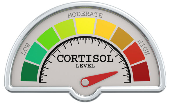Cortisol level measuring scale with color indicator