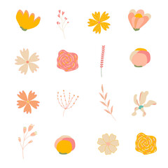 Obraz premium Set of flowers and leaves isolated on white background