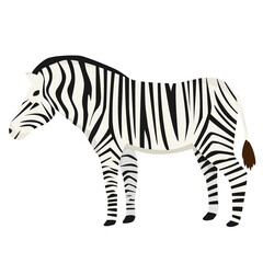 Fototapeta na wymiar Zebra in flat style isolated on white background