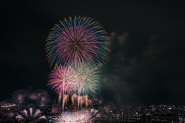 夜空を焦がす花火