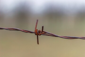 Closeup of a rusty barbed wire against a blurry background.
