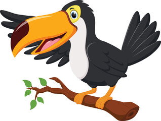Cartoon happy toucan bird isolated on white background