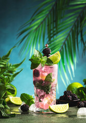 Blackberry mojito, summer alcoholic cocktail with white rum, soda, lime, mint, ice and berries....
