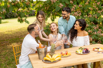 Group of happy young people cheering with fresh lemonade and eating fruits in the garden