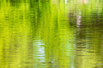 The green expanse of water on the reservoir as an abstract background.