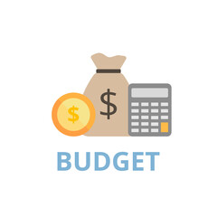 Budget vector. Accounting, Finance and business concept.
