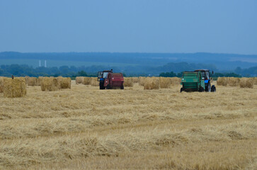 haystacks.tractors collect hay from the ground in stacks.harvesting hay for the winter.