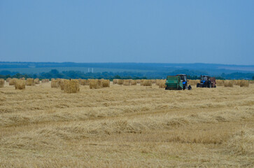haystacks.tractors collect hay from the ground in stacks.harvesting hay for the winter.