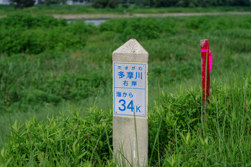 多摩川の標石 - obrazy, fototapety, plakaty