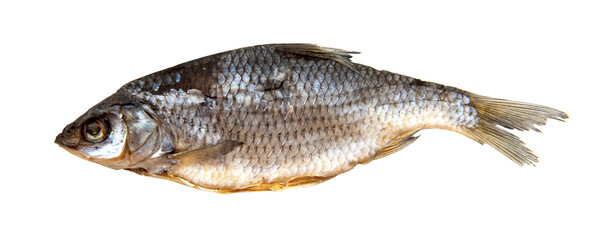 Dry river fish on a white background. Dried fish isolate closeup