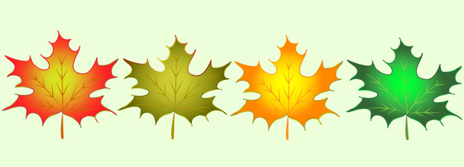 Set of autumn colorful leaves. Isolated on a green background. Vector illustration suitable for design, background, print, etc.
