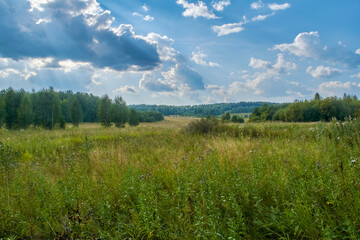 Summer landscape green meadow and forest in the background against the backdrop of a beautiful blue sky and white clouds.