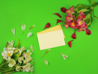 Paper blank -card in pastel sand color with yellow envelope, red- yellow and white Alstroemeria flowers and petals on bright green background. Top view, flat lay .Greeting or invitation concept.