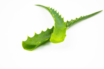 Leaves of aloe vera, isolated on a white background.