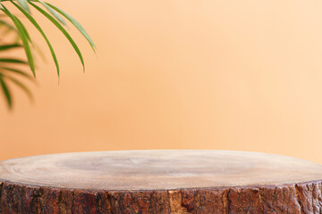 wooden table in front of interior wall and tropical green plant background. for product display and presentation.