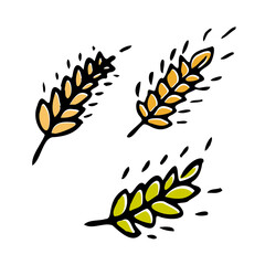 Wheat plant spikelets isolated on white background. Wheat Ear Spica Icon Set.