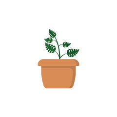 Monstera icon design template vector illustration