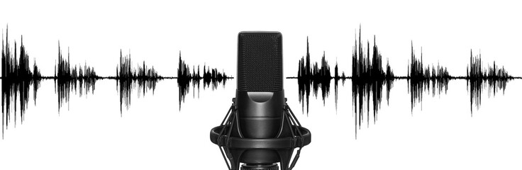 microphone isolated. Mic for studio recording