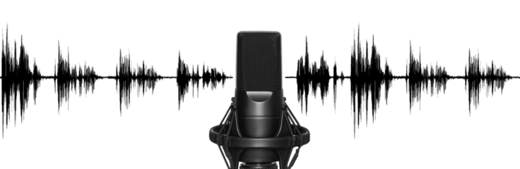 microphone isolated. Mic for studio recording