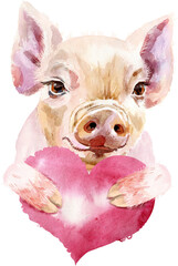 Watercolor portrait of mini pig with pink heart