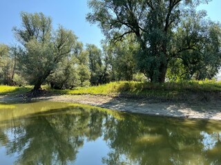 Lake Veliki Sakadas and floodplain forests, Kopacki rit Nature Park - Kopacevo, Croatia (Jezero Veliki Sakada&scaron; i poplavne &scaron;ume, Park prirode Kopački rit - Kopačevo, Hrvatska)