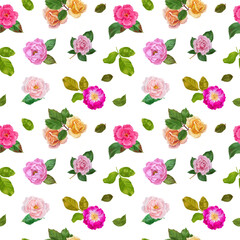 Digital seamless pattern with colorful  roses and leaves. White background.
