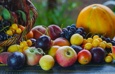 Various fruits on the table