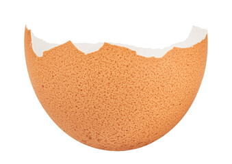 egg shell isolated