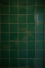 dark green wall bathroom, interior design