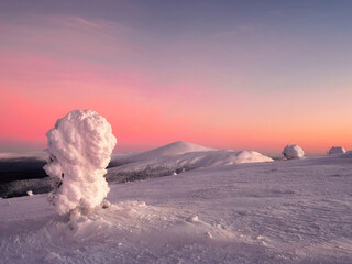 Amazing cold pink dawn over a snowy winter hill. View of the snow-covered tundra and hills. Arctic...
