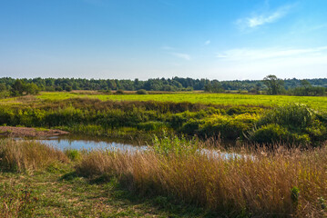 Summer landscape with river, field and forest.