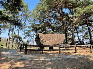 고창 죽림리고인돌군(고창 고인돌공원)