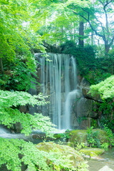 滝