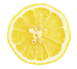 cross section of a lemon fruit