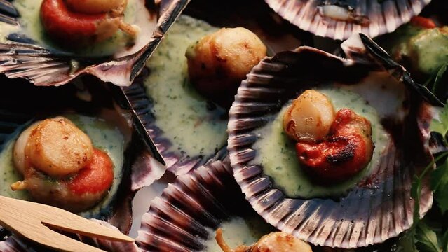 grilled scallops in green sauce