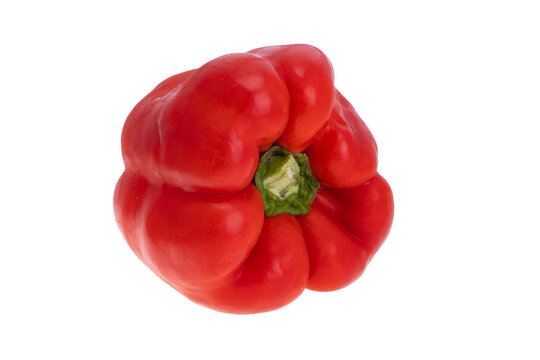Bell Pepper Isolated