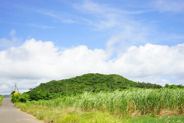 Fototapeta na wymiar Ufudaki and Sugar Cane Field in Kohama-jima Island, Okinawa, Japan - 日本 沖縄 小浜島 さとうきび畑 大岳