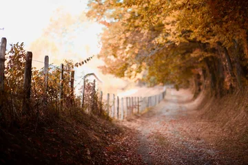 Raamstickers joli paysage d'automne © Sandrine
