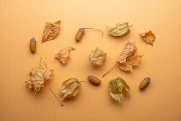Pattern from acorns and dry leaves on pastel background. Autumn concept.
