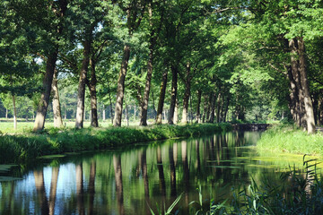 Fototapeta na wymiar Trees line a typical Dutch canal scene in Griendtsveen, the Netherlands.