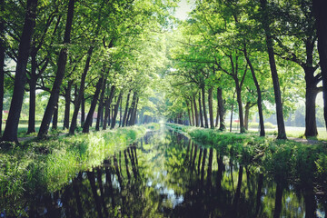 Trees line a typical Dutch canal scene in Griendtsveen, the Netherlands.