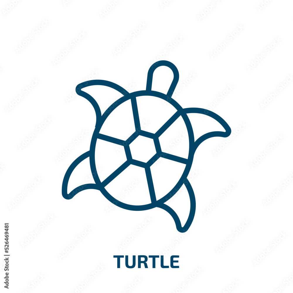 Poster turtle icon from animals collection. thin linear turtle, fish, pet outline icon isolated on white ba