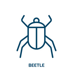 beetle icon from animals collection. Thin linear beetle, insect, nature outline icon isolated on white background. Line vector beetle sign, symbol for web and mobile