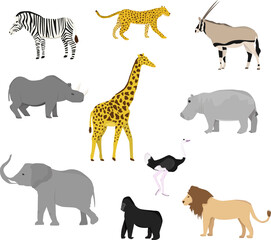 Set with African wild animals. Flat style. Giraffe, elephant, hippo, rhinoceros, zebra, monkey, orangutan, antelope, cheetah, lion, leopard, ostrich.