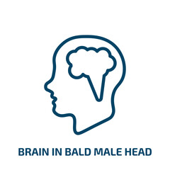 brain in bald male head icon from medical collection. Thin linear brain in bald male head, head, bald outline icon isolated on white background. Line vector brain in bald male head sign, symbol for